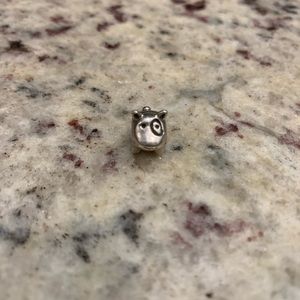 Pandora Bracelet Charms